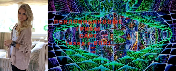 мяу мяу мука Надым