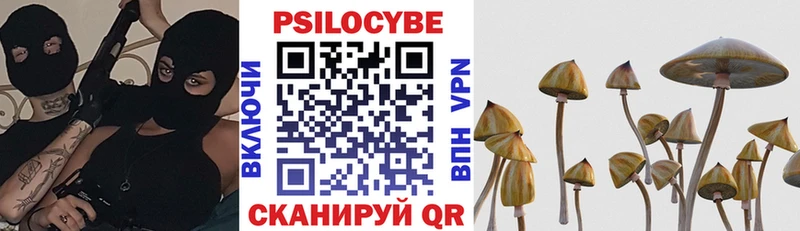 Купить где  Тетюши  Псилоцибиновые грибы Cubensis 